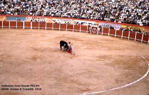 Oran- Arenes d' Eckmulh 29